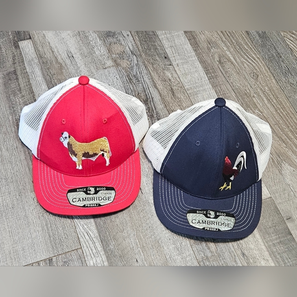 💙🩵Boys Mesh Hats Red And Blue, Bull And Rooster Embroidery🩵💙‎